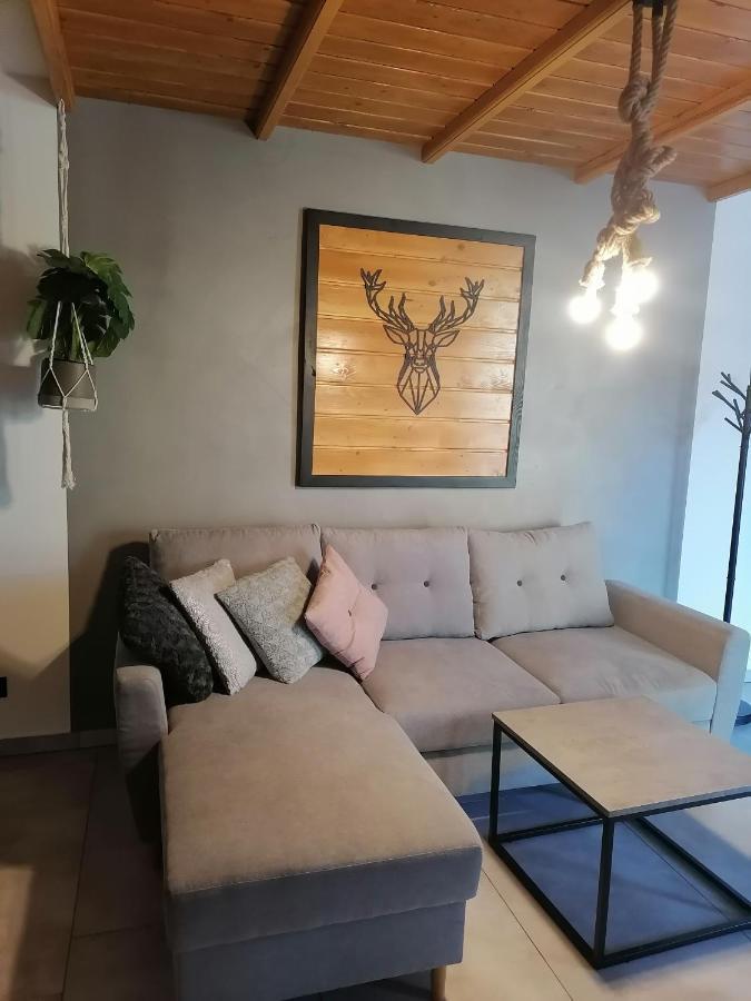 Apartmán Apartament Jelen Złotów Exteriér fotografie